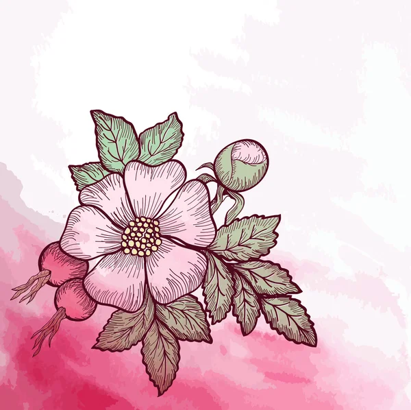 Tarjeta de invitación, saludo con flores de rosas silvestres — Vector de stock