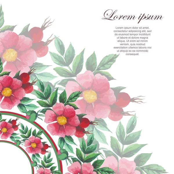 Ακουαρέλα πρότυπο με άγριο τριαντάφυλλο για κάρτες, πρόσκληση — Διανυσματικό Αρχείο