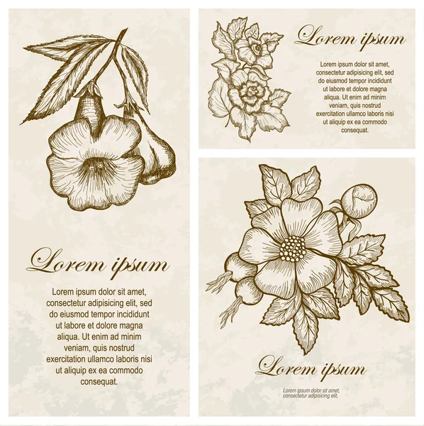 Set de fondo de acuarela vintage con flores — Vector de stock