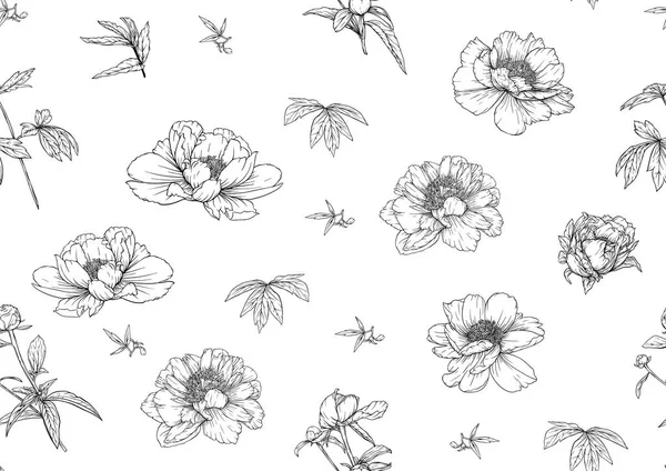 Pivoines fleurs. Modèle sans couture, fond. Aperçu vecteur de dessin à la main — Image vectorielle