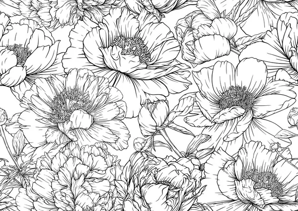 Pioenrozen bloemen. Naadloos patroon, achtergrond. Overzicht handtekenvector — Stockvector