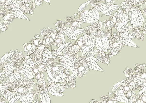 Jasmine Seamless pattern, background. Outline vector illustration. — Stock Vector