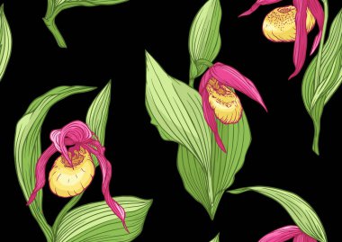 Ladys terlik orkidesi, Cypripeoideae, kusursuz desen, arka plan. Vektör illüstrasyonu.