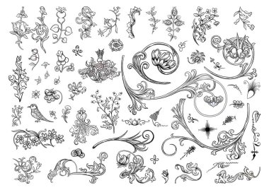 Çiçekli klasik ortaçağ illuminati el yazması.