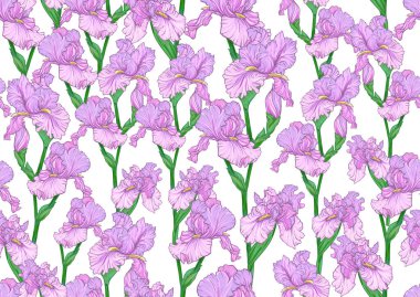 İris çiçekleriyle kusursuz desen, mor ve mavi süsen.