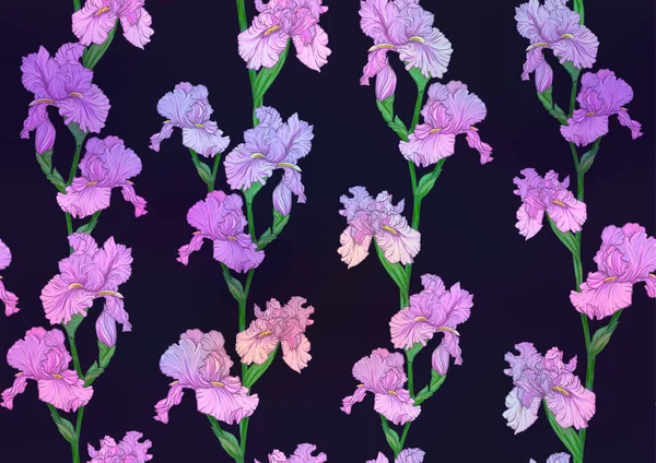 Naadloos Patroon Met Iris Bloemen Paarse Blauwe Irissen Vector Illustratie — Stockvector