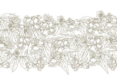 Yasemin pürüzsüz desen, arka plan. Vektör illüstrasyonu.