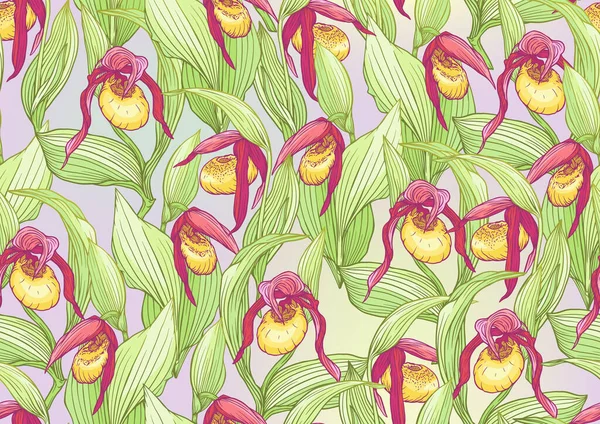Ladys slipper orchid, Cypripedioideae, Seamless pattern, background. — Stock Vector