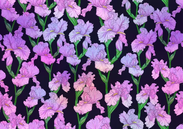 Patrón sin costuras con flores de iris, iris púrpura y azul. — Vector de stock
