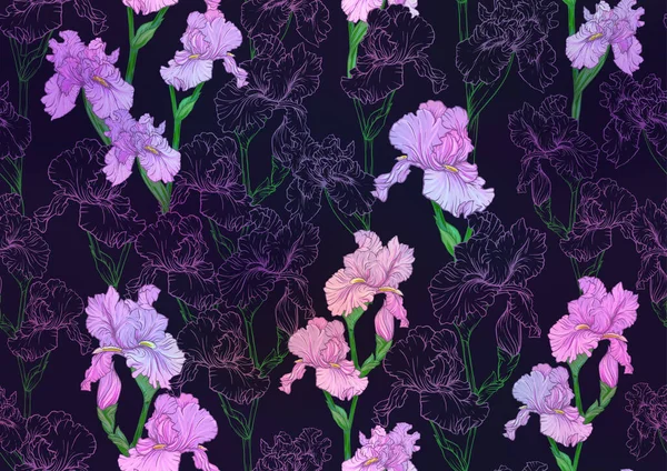 Patrón sin costuras con flores de iris, iris púrpura y azul. — Vector de stock