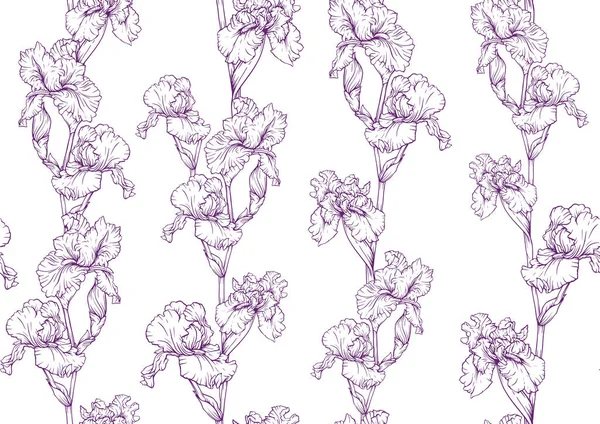 Motif sans couture avec des fleurs d'iris, iris violet et bleu. — Image vectorielle
