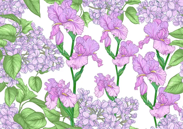 Fondo sin costuras con flores lila e iris. Ilustración vectorial — Vector de stock