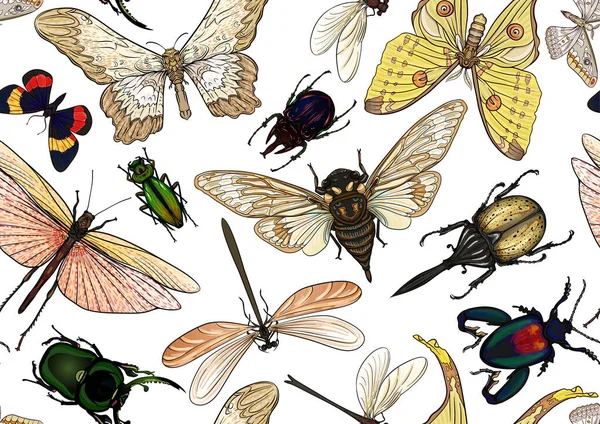 昆虫のセット:甲虫、蝶、蛾、トンボ. — ストックベクタ