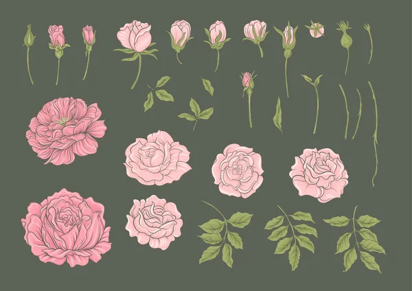 Flores de rosas em ramos. Millefleurs design floral na moda — Vetor de Stock