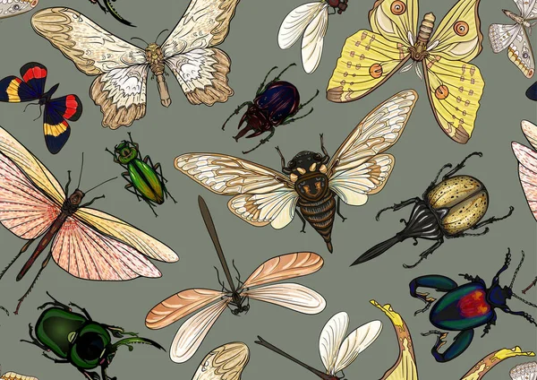 Zestaw owadów: chrząszcze, motyle, ćmy, ważki. — Wektor stockowy