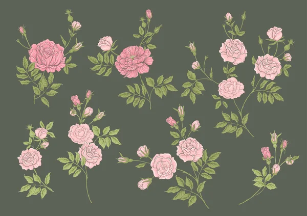 Rosas flores en las ramas. Millefleurs diseño floral de moda — Vector de stock