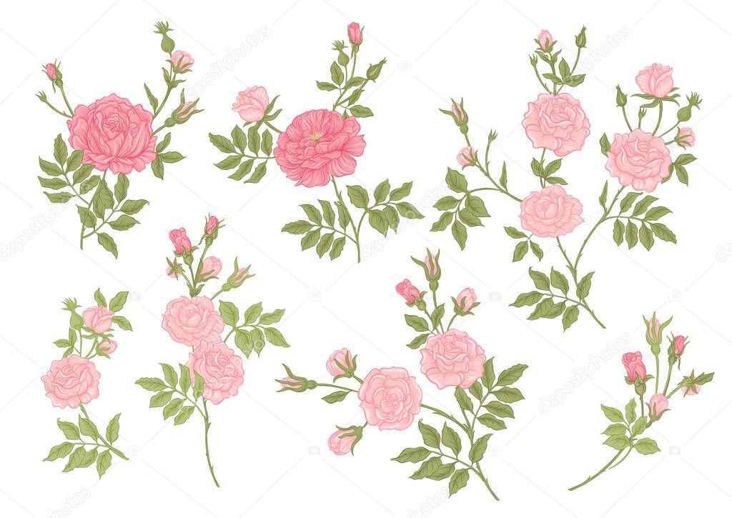Roses flowers on branches. Millefleurs trendy floral design