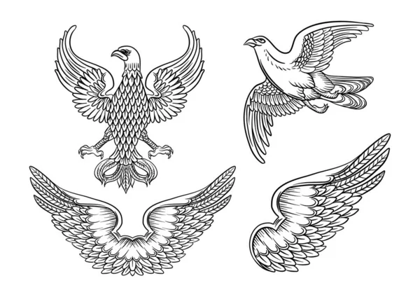 Орел Сокіл Птах Крило Подвійні Крила Традиційні Стилі Характеру Гербів — стоковий вектор
