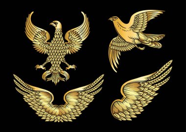 Kartal, şahin, kuş, kanat, çift kanat. Kollar ve kalkanlar için geleneksel karakter tarzları. Clip sanatı, tasarım Vektörü illüstrasyonu için elementler kümesi.