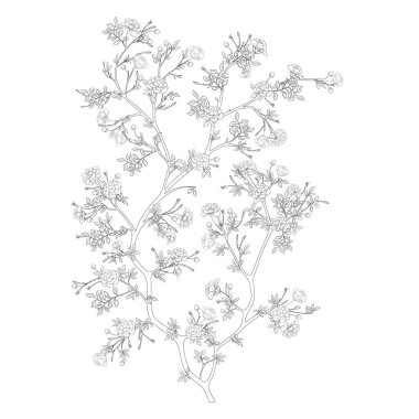 Camellia blossom tree Clip art, element for design Vector illustration. In botanical style