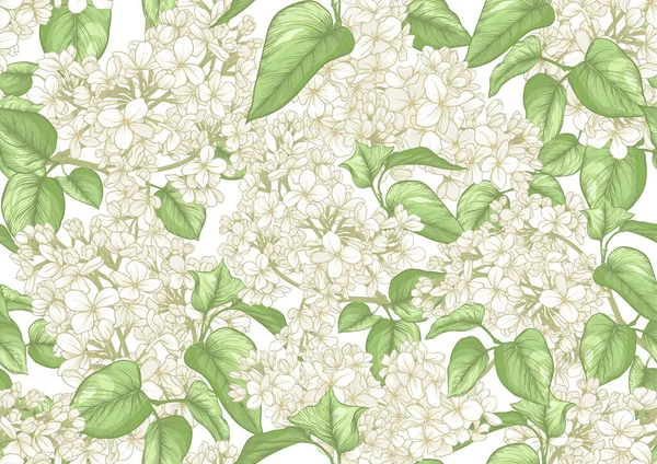 Bezešvé Pozadí Bílými Šeříkovými Květy Vektorová Ilustrace Izolováno Bílém Pozadí — Stockový vektor