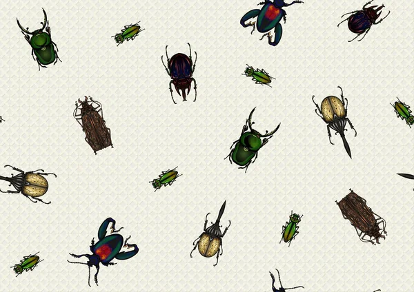 Set Insects Beetles Butterflies Moths Dragonflies Etymologists Set Seamless Pattern —  Vetores de Stock