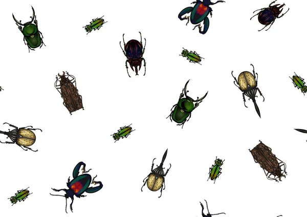 Set Insects Beetles Butterflies Moths Dragonflies Etymologists Set Seamless Pattern — Stock Vector