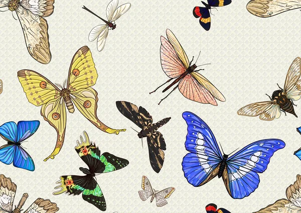 Set Insects Beetles Butterflies Moths Dragonflies Etymologists Set Seamless Pattern — Vector de stock