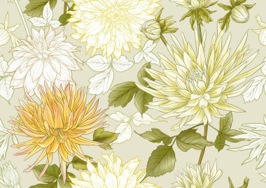 Dahlias flowers, outline and coloured style Seamless pattern, background. Vector illustration. In botanical style