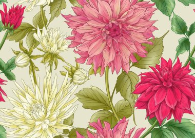 Dahlias flowers, outline and coloured style Seamless pattern, background. Vector illustration. In botanical style