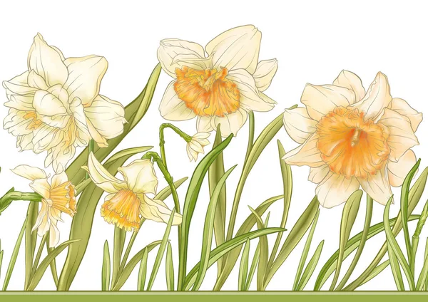 White Daffodils Tulips Flowers Early Spring Flowers Seamless Border Pattern — Wektor stockowy