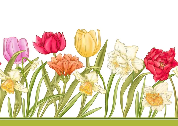 White Daffodils Tulips Flowers Early Spring Flowers Seamless Border Pattern — Stockový vektor