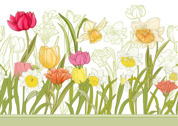 White Daffodils Tulips Flowers Early Spring Flowers Seamless Border Pattern — Stockový vektor