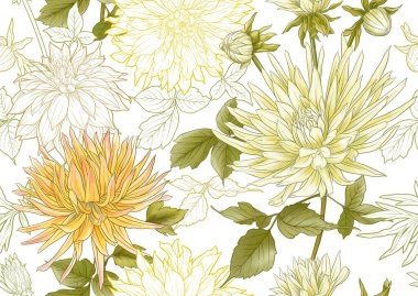 Dahlias flowers, outline and coloured style Seamless pattern, background. Vector illustration. In botanical style