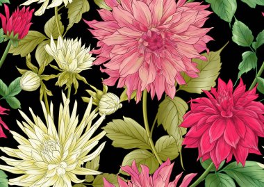 Dahlias flowers, outline and coloured style Seamless pattern, background. Vector illustration. In botanical style
