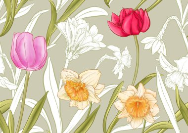 White daffodils and tulips flowers, the early spring flowers. Seamless pattern, background. Vector illustration. In botanical style