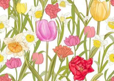 White daffodils and tulips flowers, the early spring flowers. Seamless pattern, background. Vector illustration. In botanical style