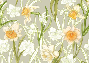 White daffodils and tulips flowers, the early spring flowers. Seamless pattern, background. Vector illustration. In botanical style