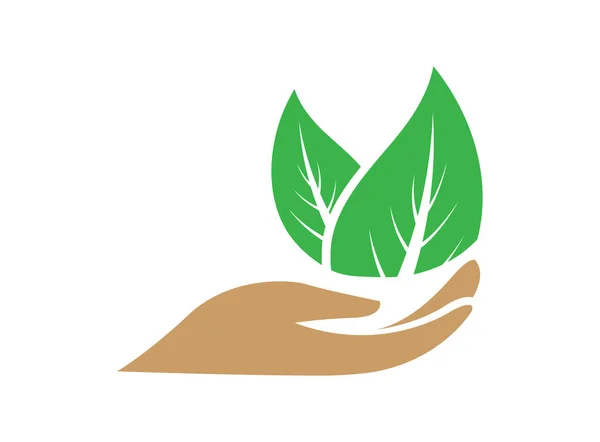 Logotipo Natural Hoja Mano Ecológica — Foto de Stock