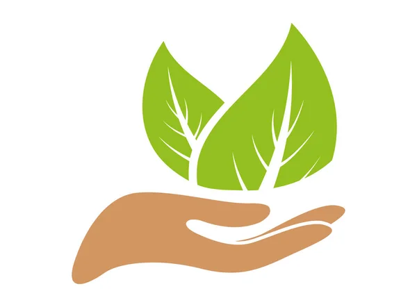 Logotipo Natural Folha Mão Eco Fotografia De Stock