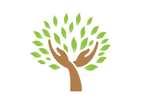 Projekt Logo Drzewa Liści Dłoni — Zdjęcie stockowe