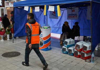 Bükreş, Romanya - 09 Mart 2022: Bir vakıf, Ukraynalı mültecilere, Vladimir Putin 'in Ukrayna' ya karşı yürüttüğü savaştan kaçmak için Kuzey Tren İstasyonu 'na köpekli yardım etmeye hazır.