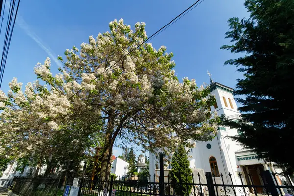 Bükreş, Romanya - 05 Mayıs 2022: Bükreş 'teki Icoanei Caddesi' nde İkon Kilisesi, tarihi eser, Ortodoks ayininin yapılacağı yer.