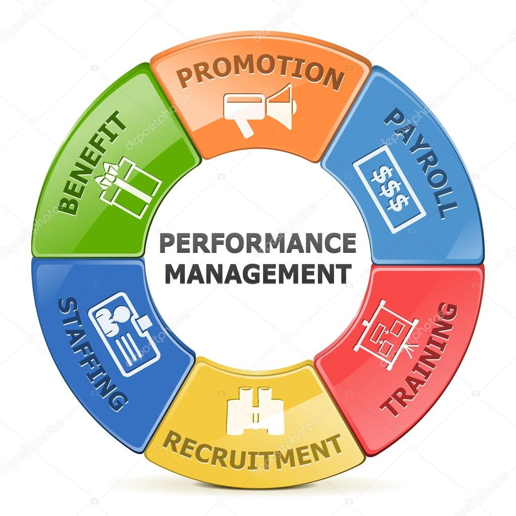 Vector Performance Management System