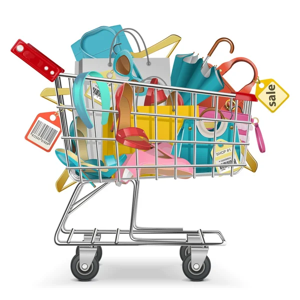 Vector Trolley with Purchase — Stock Vector