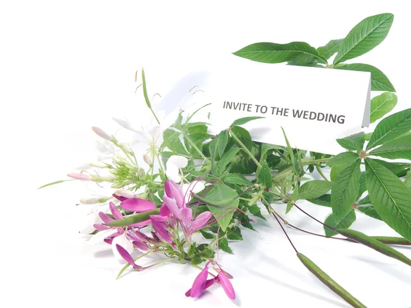 Букет квітів і весільна прикраса — стокове фото