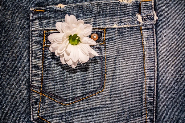 Hintergrund, Textur, Jeanstasche und Gänseblümchen — Stockfoto