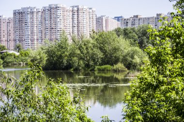 büyük şehirde Gölü
