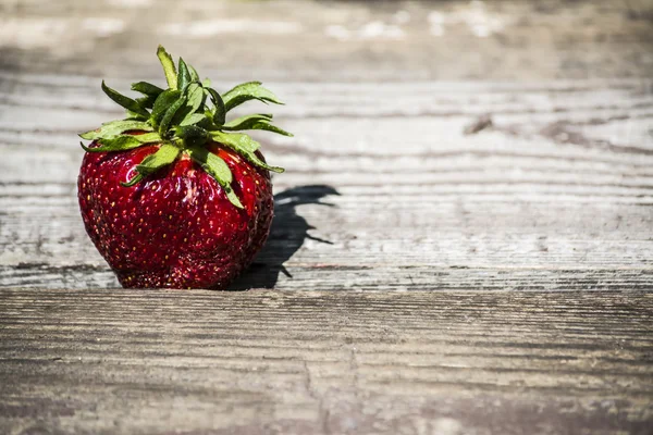 Erdbeeren — Stockfoto