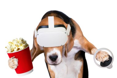 Komik köpek av köpeği sanal gerçeklik gözlükleriyle ve beyaz arka planda joystick ile oynuyor. 